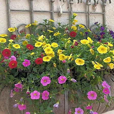 Bed & Breakfast Sainte-helene D'hotes & 4*